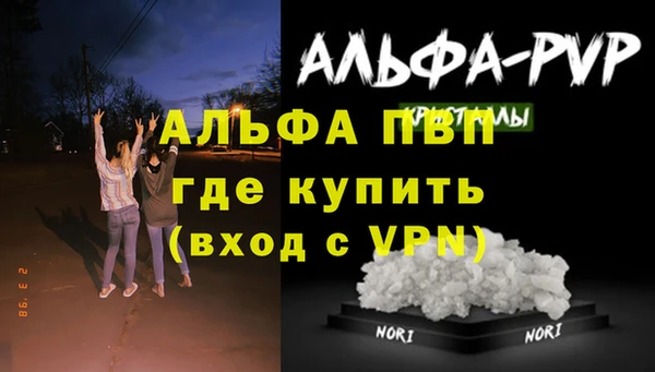 эйфоретик Арсеньев
