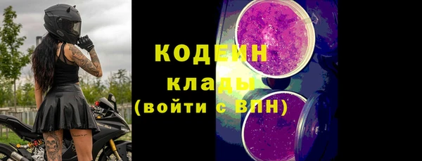 шишки Аркадак