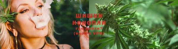 шишки Аркадак