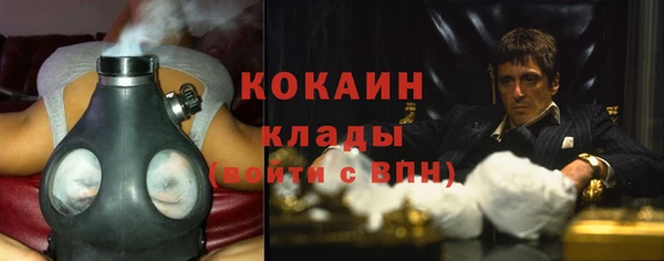 эйфоретик Арсеньев