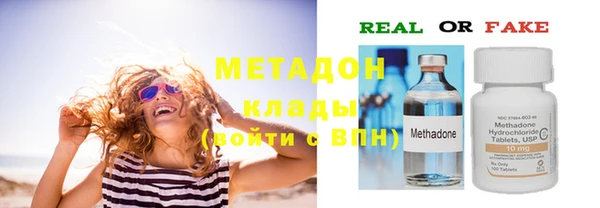 шишки Аркадак