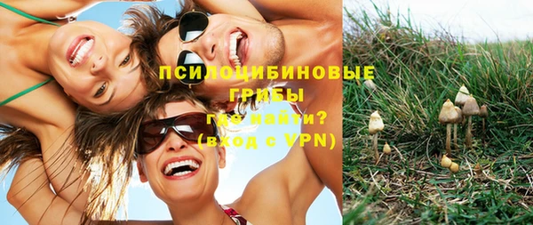 эйфоретик Арсеньев