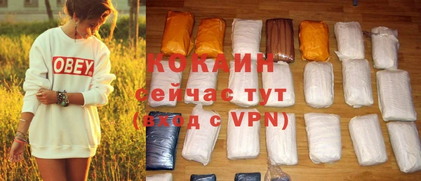 эйфоретик Арсеньев