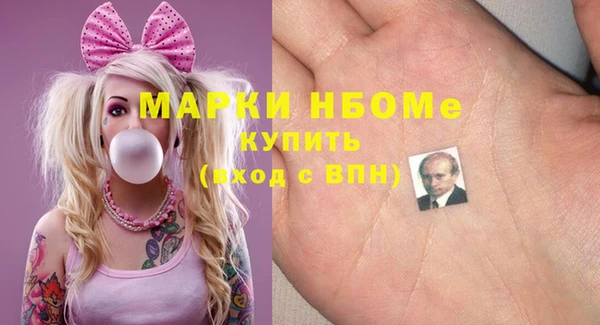 шишки Аркадак