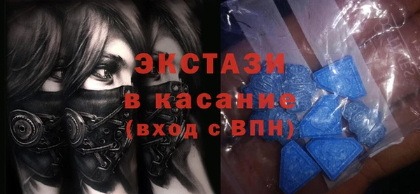шишки Аркадак