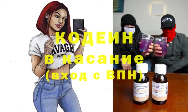 шишки Аркадак