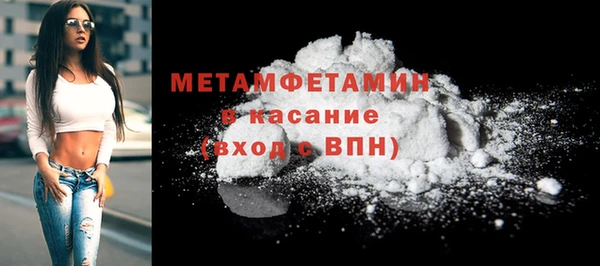 шишки Аркадак